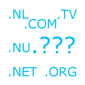 Domein naam extensie .nl .com .org Labweb.nl, website maken