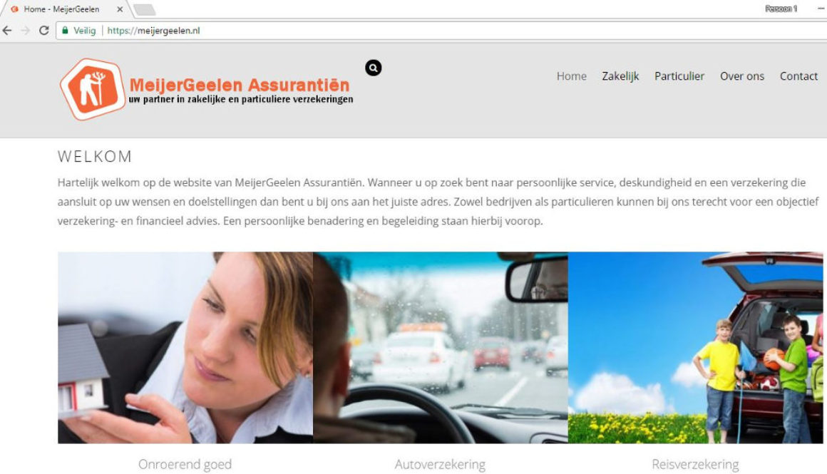 MeijerGeelen Assurantiën, Labweb.nl, website maken, portfolio